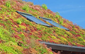 Five Ashes living roof systems